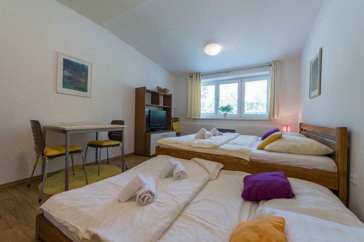 Apartman Lipno 20 리프노나드비타보브 외부 사진